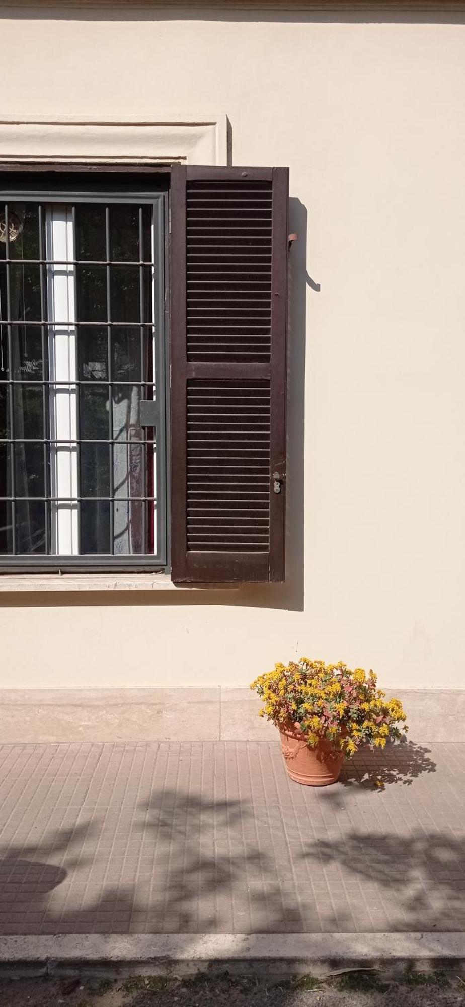 Appartamento San Peter Vatican Quiet And Lovely Roma